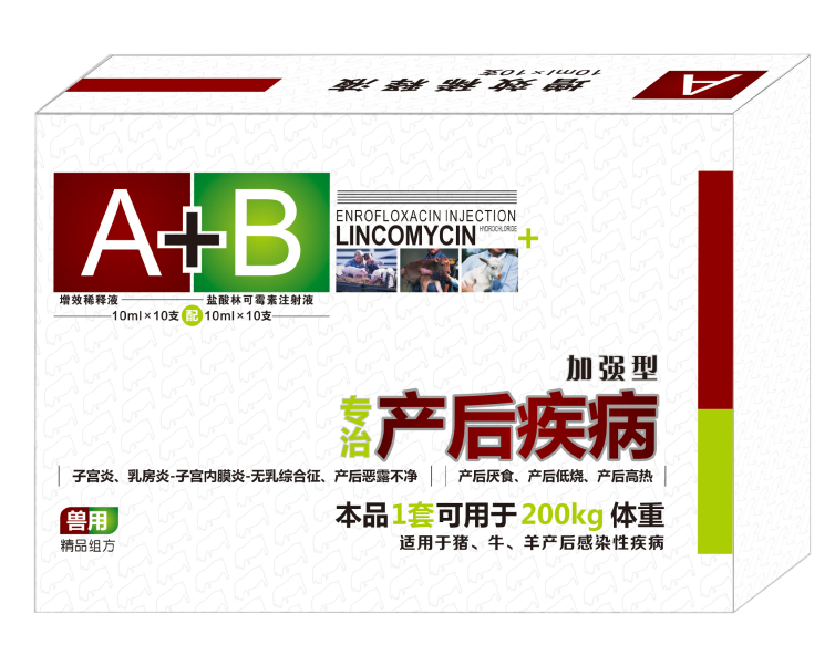 产后疾病A+B
